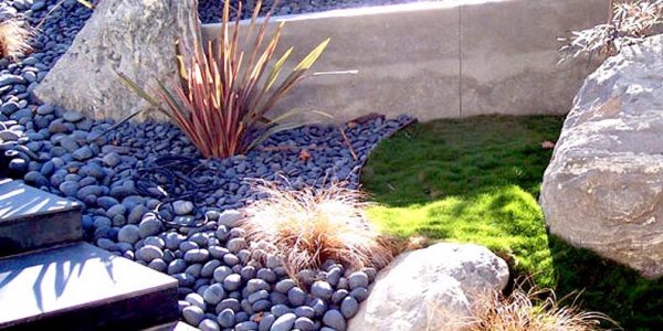 Plant and Material Accents | ALD Architectural Land Design Resources