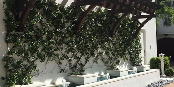 Planting Resources | ALD Architectural Land Design Resources