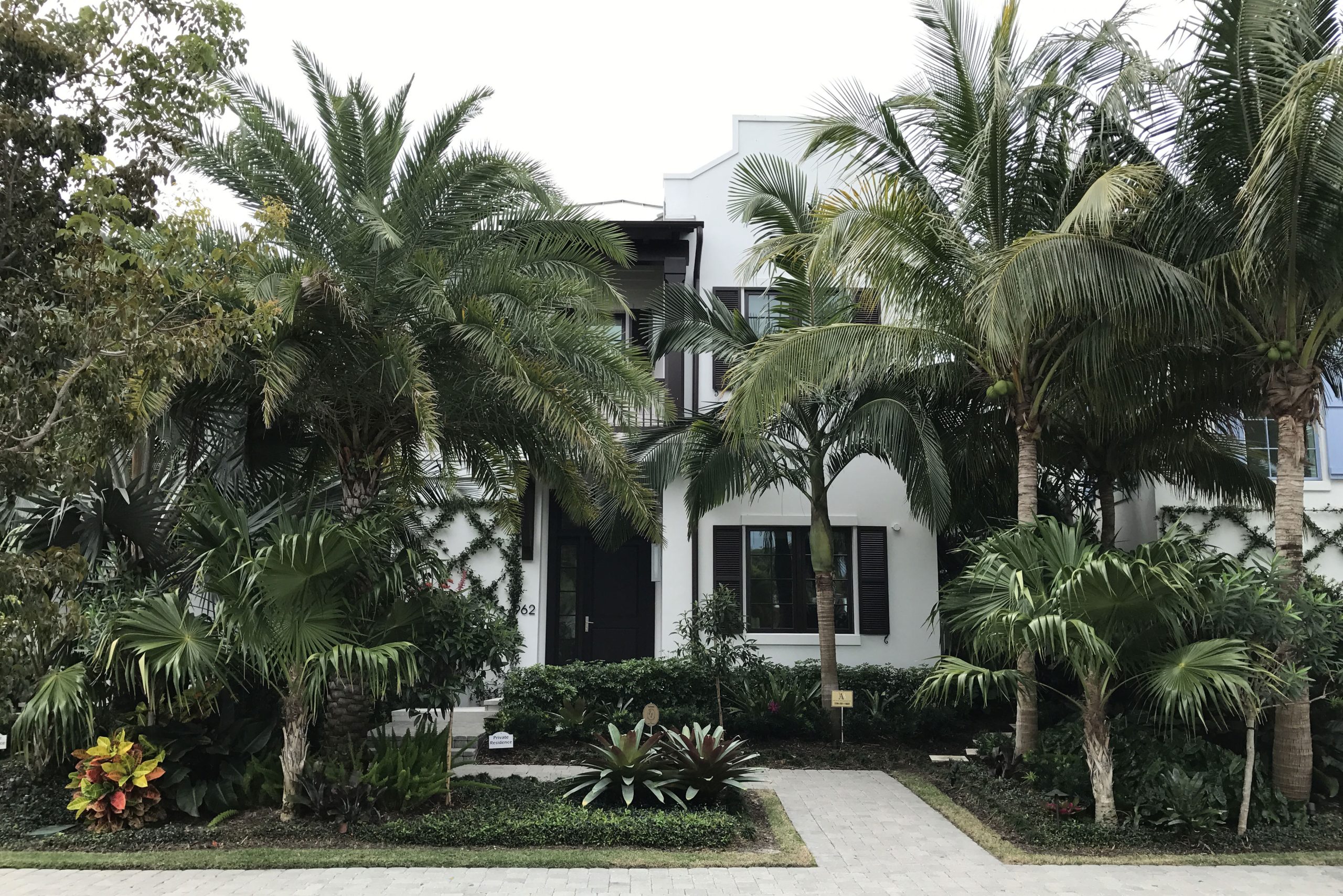 Mangrove Bay - ALD Featured Commercial Landscape Architecture Projects