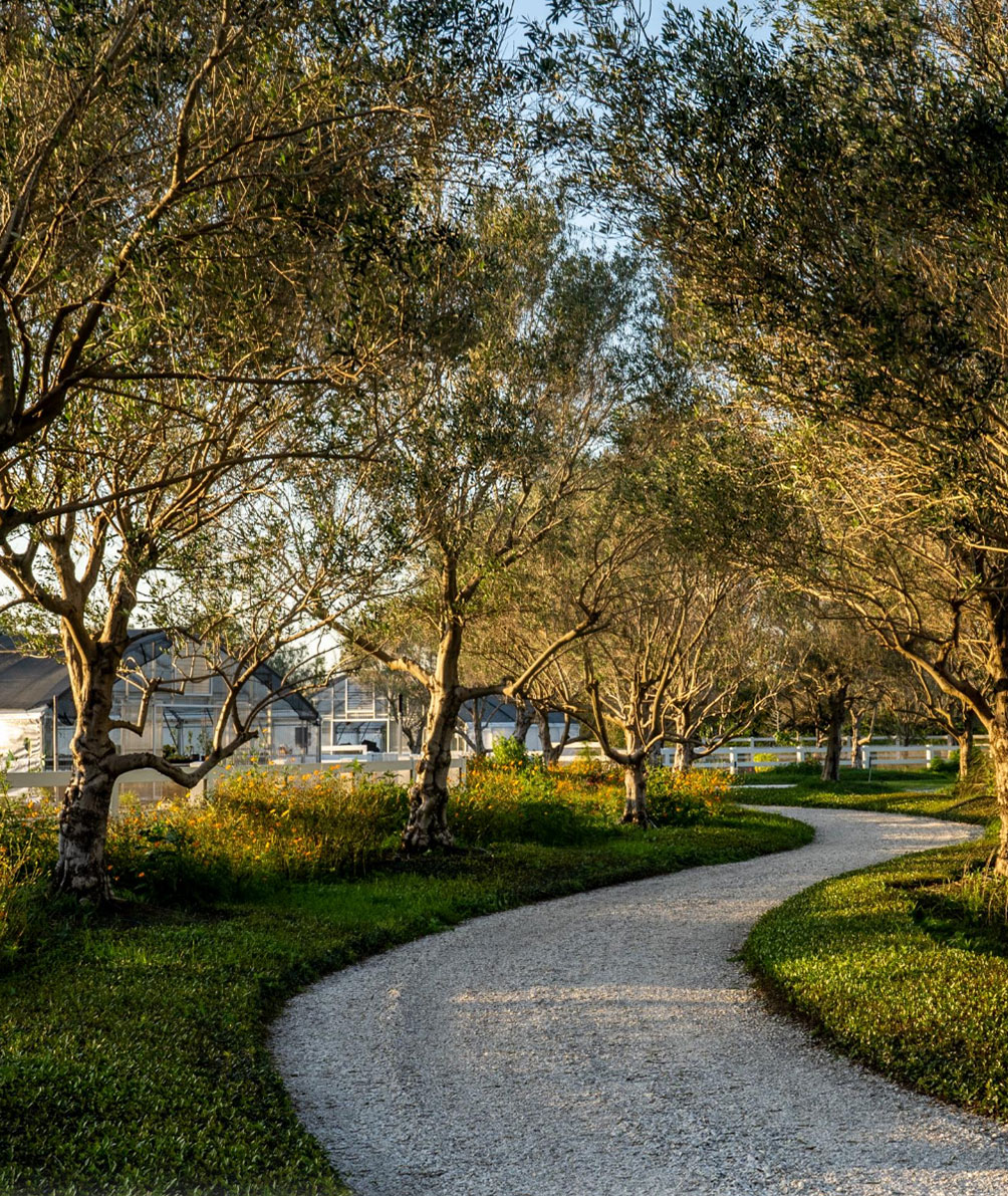 Rain Barrel Farm - ALD Featured Commercial Landscape Architecture Projects